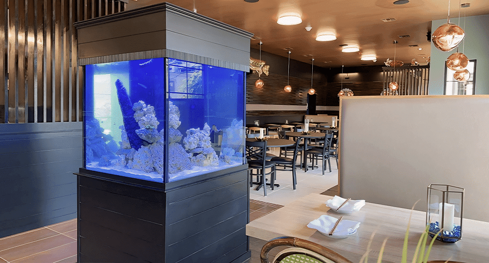 Inside Lotus Restaurant in Farmingdale